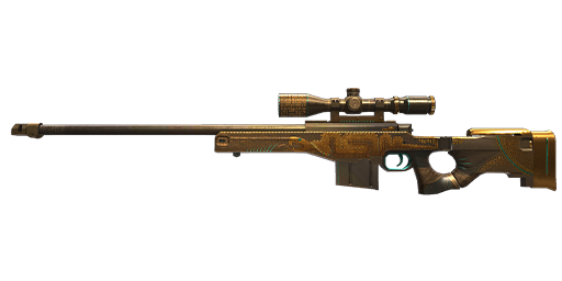 AWM | Treasure Hunter