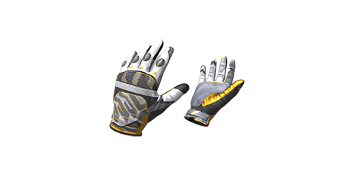 Gloves | Champion