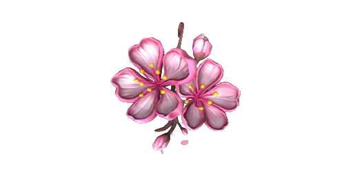 Charm | Sakura